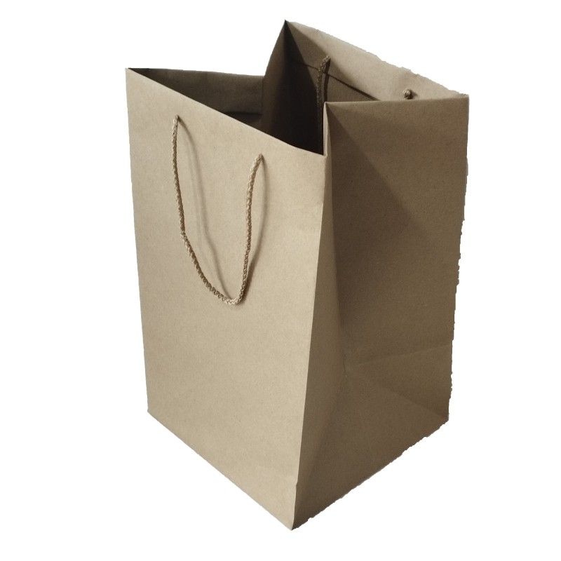 Bolsa de papel kraft 352222