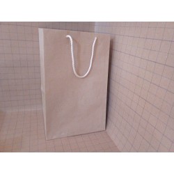 Bolsa de papel kraft 352222